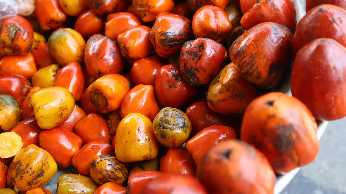 La piel del chontaduro rojo es rica en provitamina A. Foto: Helmuth Ceballos, Unimedios Palmira.