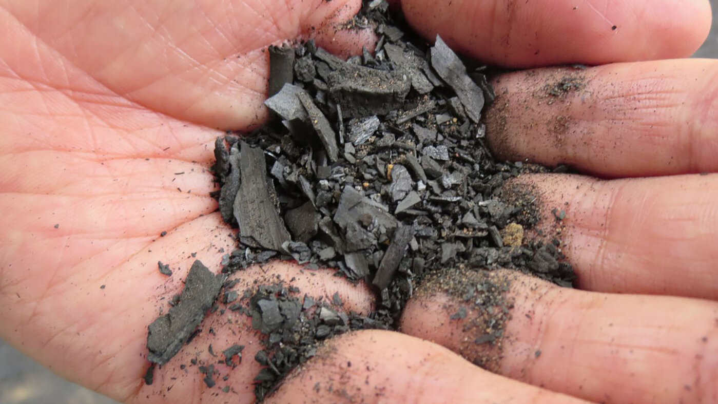 El biocarbón se obtiene de la transformación de desechos agrícolas y forestales como tallos, ramas, hojas, etc. Fotos: profesor Giovanni Reyes, UNAL Sede Orinoquia.