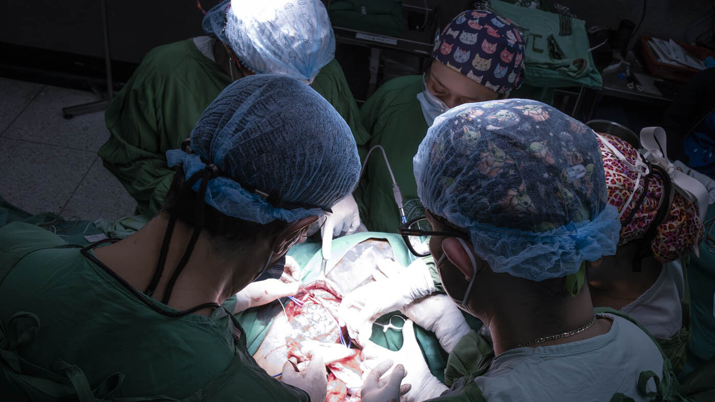 Los colgajos son clave en las reconstrucciones de cirugías plásticas. Foto: Nicol Torres, Unimedios. 