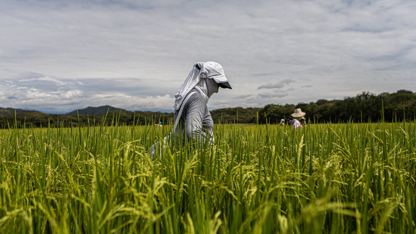 En 2022 el 28,1 % de los hogares en Colombia presentó dificultades para acceder a alimentos, situación que afectó a 15,5 millones de personas: Foto YAIR SUAREZANADOLU AGENCYAnadolu via AFP