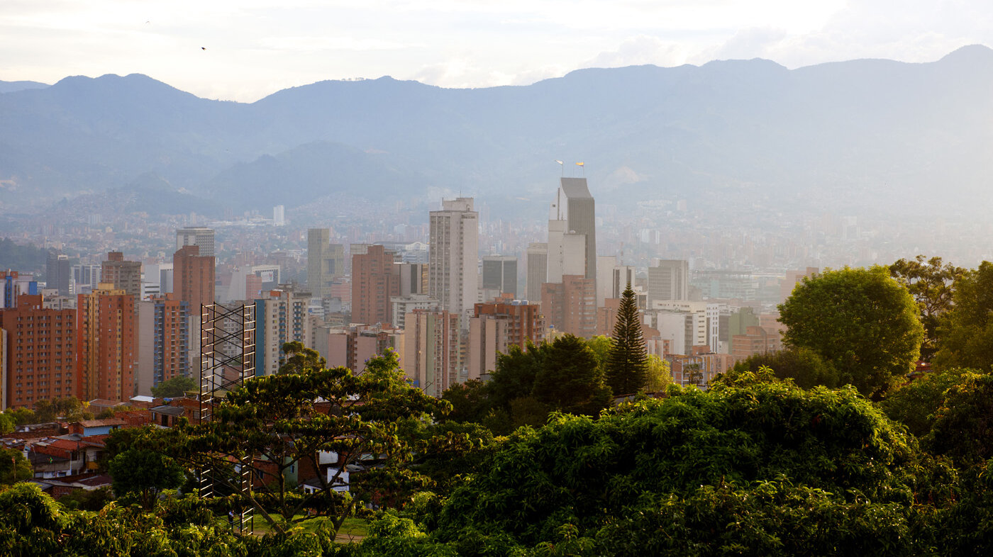 El bosque nativo es uno de los factores que salvaguardan la oferta de agua en las ciudades. Foto: Robin Utrecht - AFP.