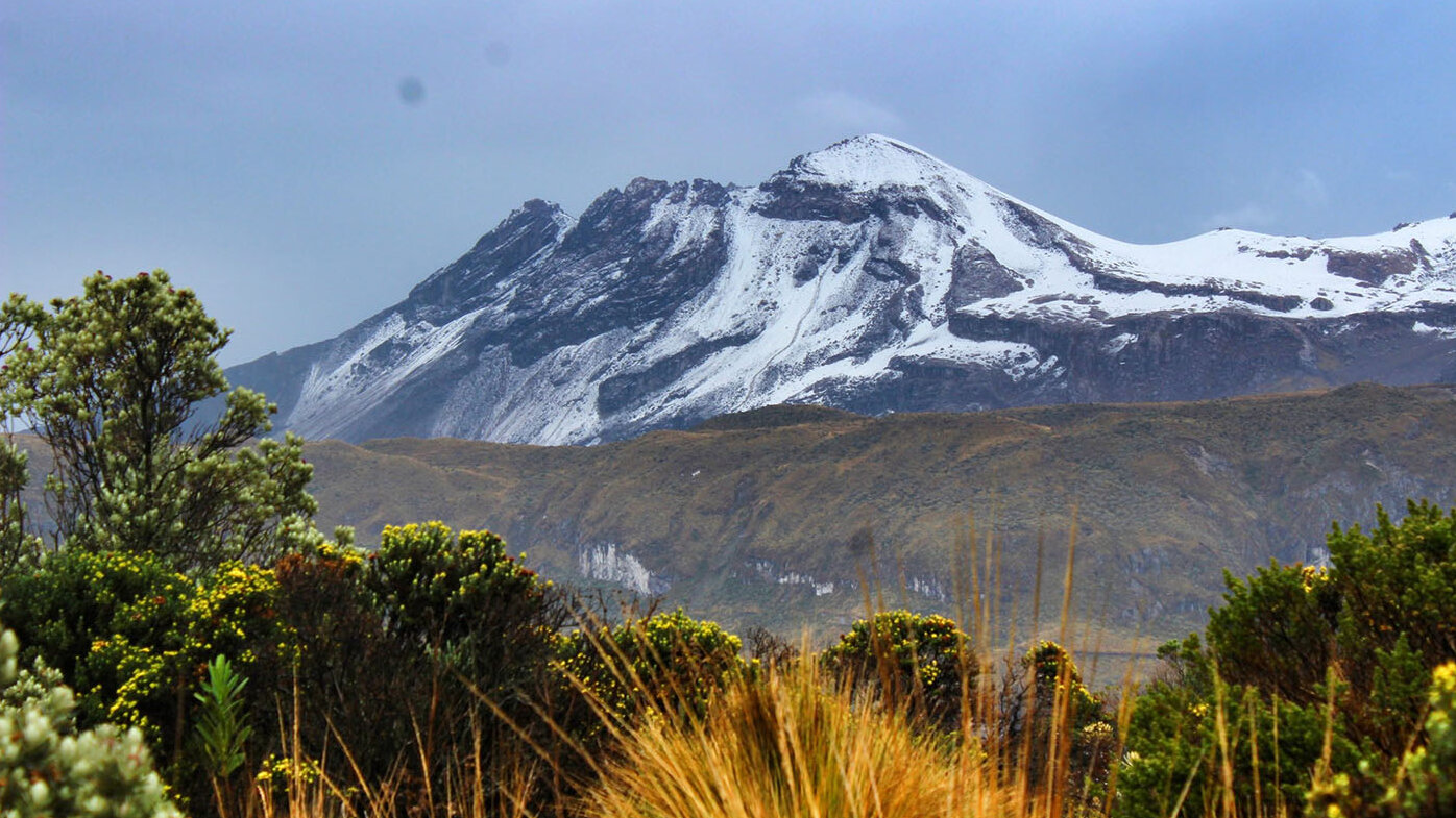 Parque Nacional Natural Los Nevados. Foto: Parques Nacionales Naturales.