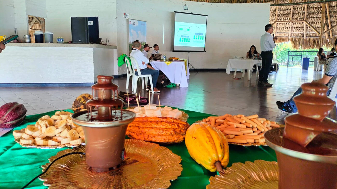 Con cacao, estudiantes de la UNAL buscan potenciar la cadena productiva en el municipio de Florida (Valle del Cauca). Fotos: Juan David Rojas, Colectivo Siembra de la UNAL Sede Palmira.
