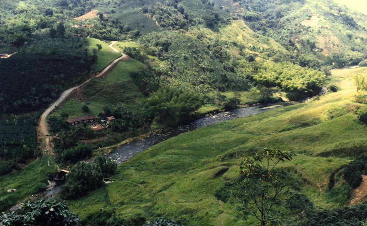 Las fuentes hídricas son ejes económicos y sociales de los territorios. Fotos: Unimedios.