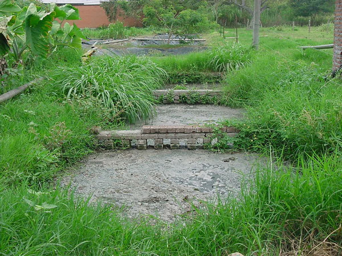 La empresa Ingeprodes SAS, buscó un vínculo con Veolia, la empresa de aseo de Palmira, para obtener los residuos de poda urbana. Fotos: Helmuth Ceballos Márquez - Unimedios Palmira.