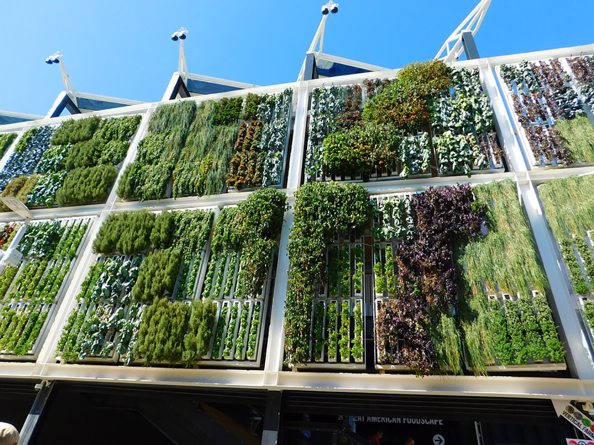 En Bogotá ya se vienen implementando los techos verdes que generan oxígeno para los habitantes. (Foto: archivo particular).