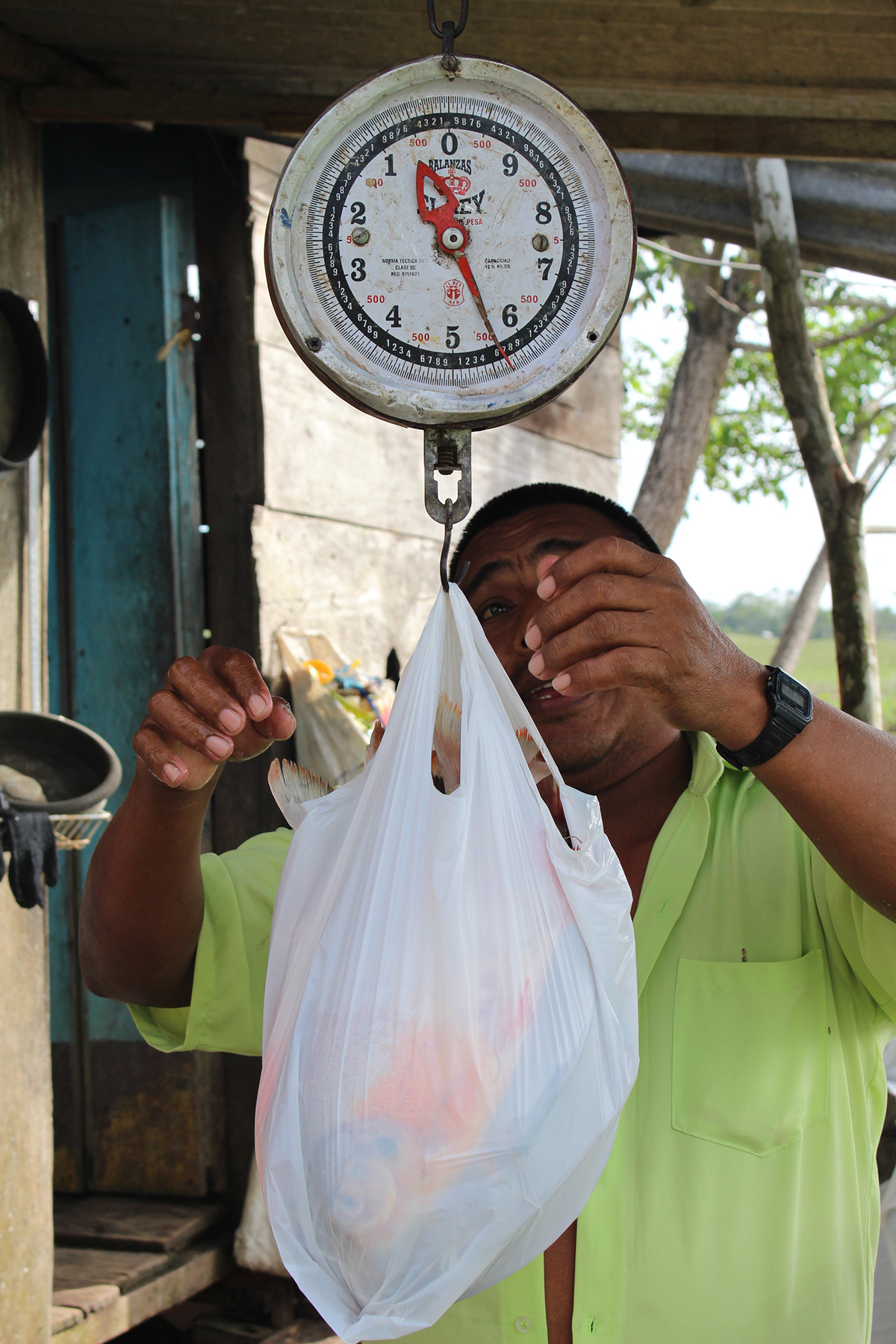 Proyecto productivo de comercialización de cachama en La Macarena, vereda La Cristalina. Fotos: Cristian Murcia, magíster en Seguridad Alimentaria y Nutricional de la U.N.