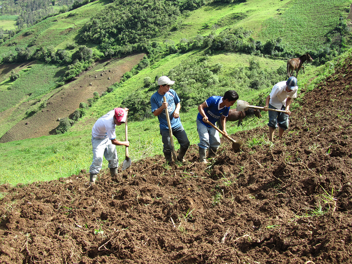 Los biocarbonizados son una propuesta de bajo costo que mejora tanto la calidad de los suelos como la productividad de los cultivos. Fotos: archivo particular.