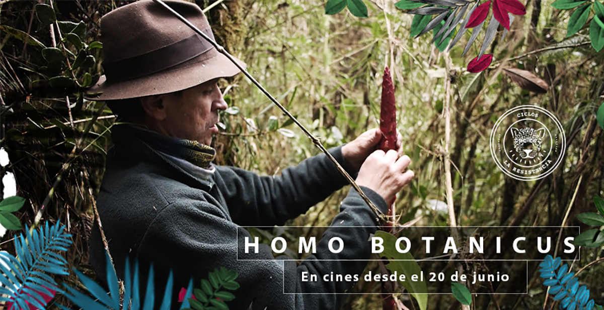 Homo Botanicus se estrena el próximo miércoles 19 de junio en la Sala Capital de la Cinemateca Distrital. Foto: Cortesía Doc:Co.