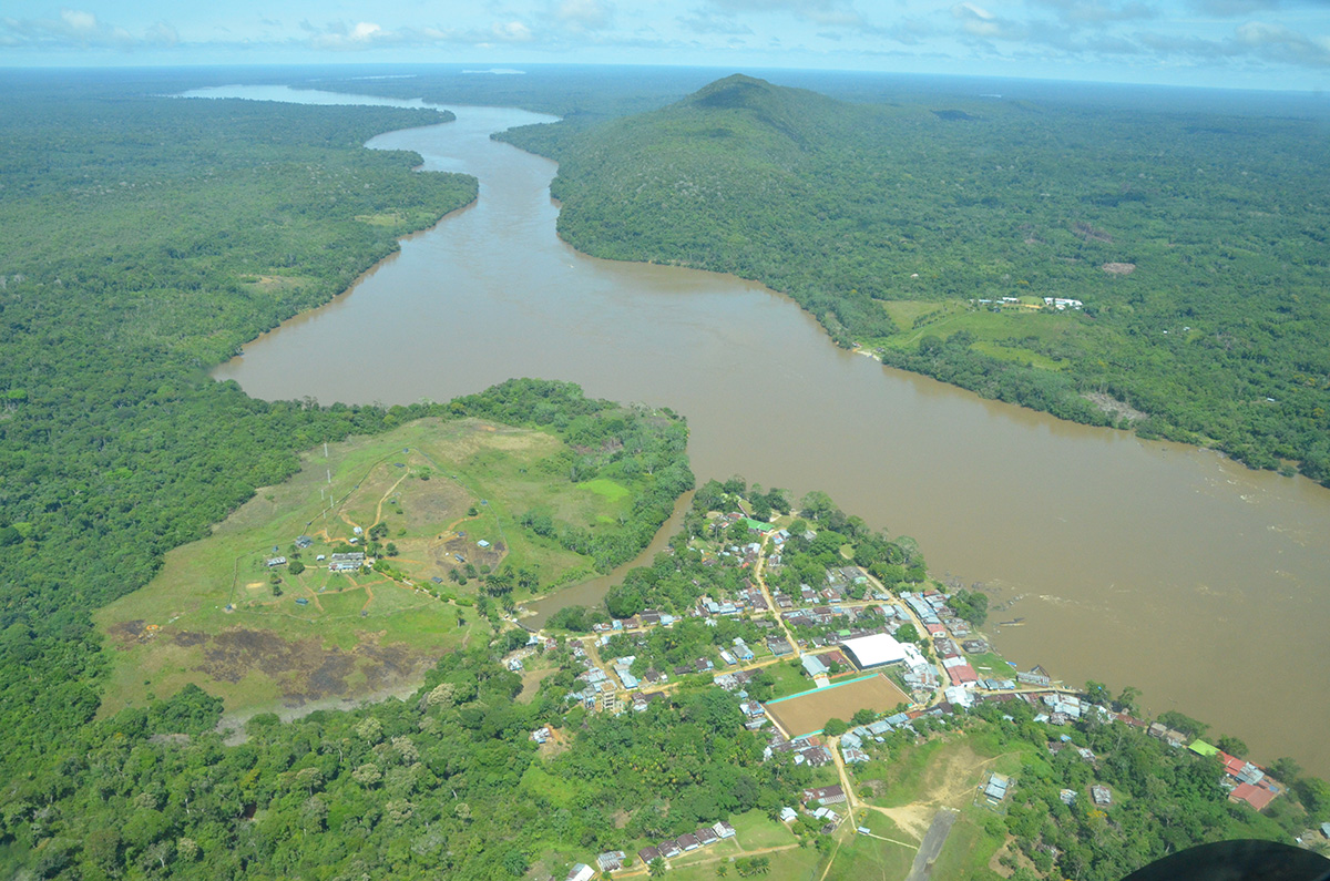 A raíz de la sequía, los bosques pueden llegar a perder su estructura reproductiva, es decir flores y frutos. Fotos: UNAL Sede Amazonia