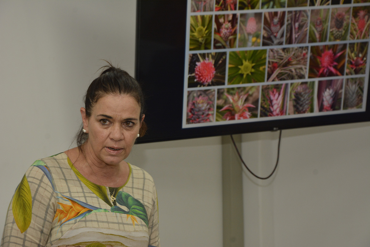 La investigadora Fernanda Vidigal Duarte Souza presentó en la UNAL Sede Palmira los usos alternativos del cultivo de piña. Foto: Agencia de Noticias - Unimedios