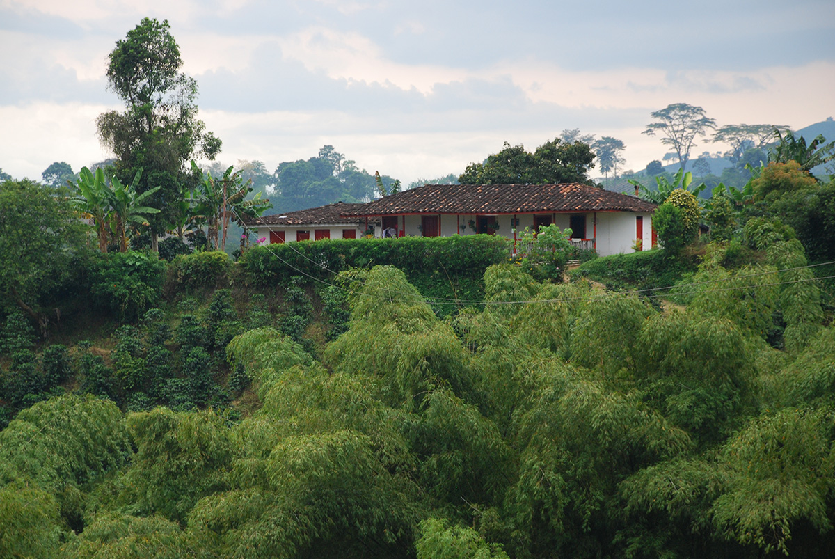 Caldas-Quindío-Risaralda es la región del país con mayores probabilidades de sufrir movimientos en masa. Fotos: Agencia de Noticias - Unimedios