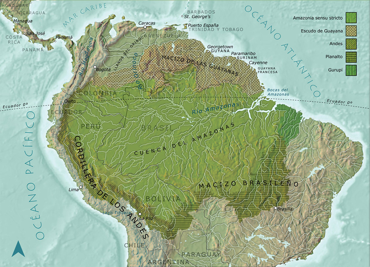 El departamento del Amazonas limita con Brasil y Perú.