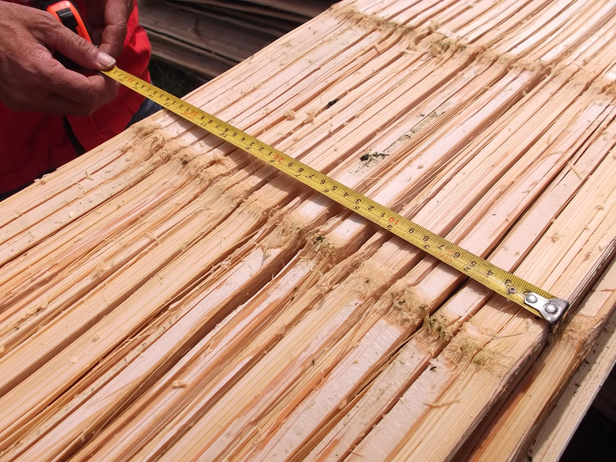 La guadua está ligada tradicionalmente a la arquitectura del Paisaje Cultural Cafetero (PCC).