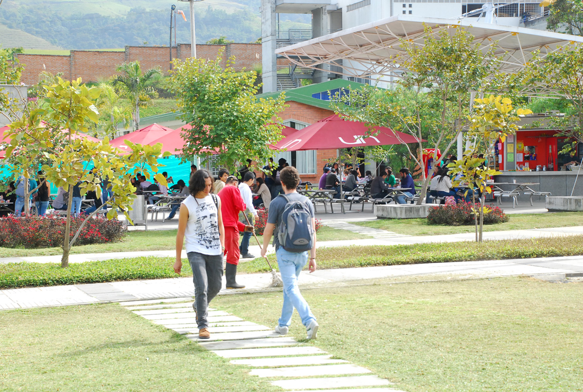 Consejo Académico avala el desarrollo del Peama para las sedes andinas.