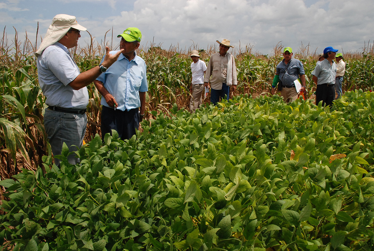 En los últimos años la comunidad se ha dedicado a sembrar maíz y yuca, entre otros productos.