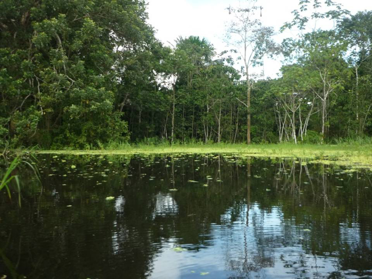 Segunda fase del Proyecto Yahuarcaca.