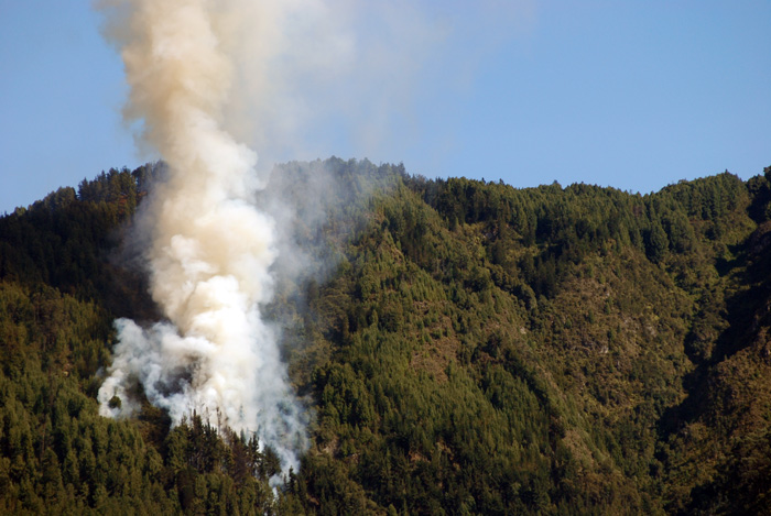 Cinco departamentos del país se han visto afectados por incendios forestales en el primer mes del 2011.