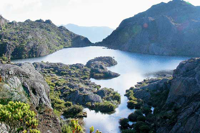 En el páramo de Santurbán existen más de 40 lagunas y centenares de riachuelos.