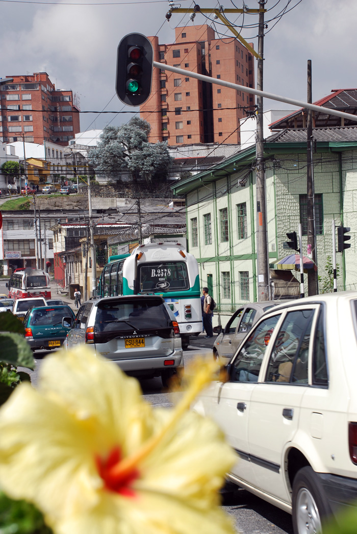 Según el experto, los estudios de la UN se deben consolidar desde investigaciones ya establecidas. Fotos: Manizales/Unimedios