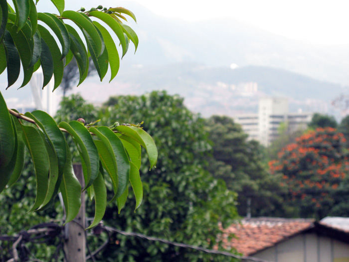 El subproyecto de responsabilidad ambiental, que hace parte del Plan de Gestión Ambiental que adelanta la UN en Medellín, tendrá varias actividades con la comunidad universitaria. - Unimedios