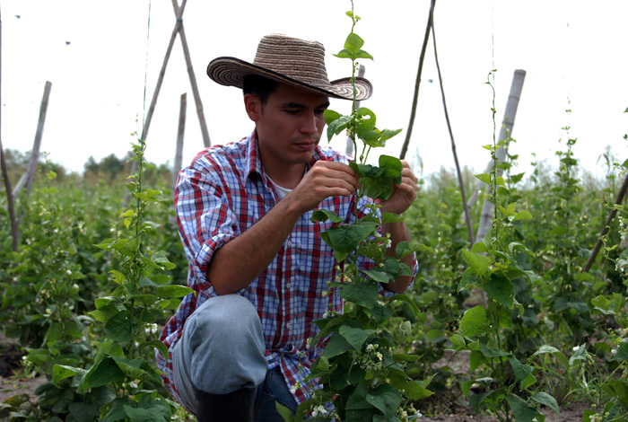 "Gobiernos deben valorar más la agricultura campesina" - Unimedios