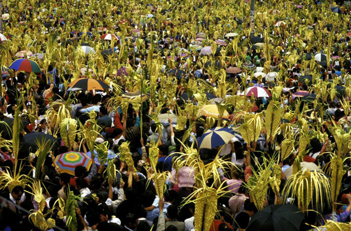 Domingo de Ramos, barrio 20 de Julio, cortesía R. Bernal.