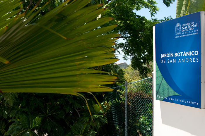 El Jardín Botánico de la UN es una de las instituciones dedicadas a cuidar la flora de esta región. Fotos: Unimedios