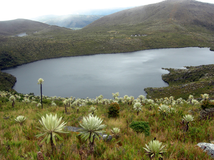 Acuerdo de la UN por la biodiversidad. / Unimedios