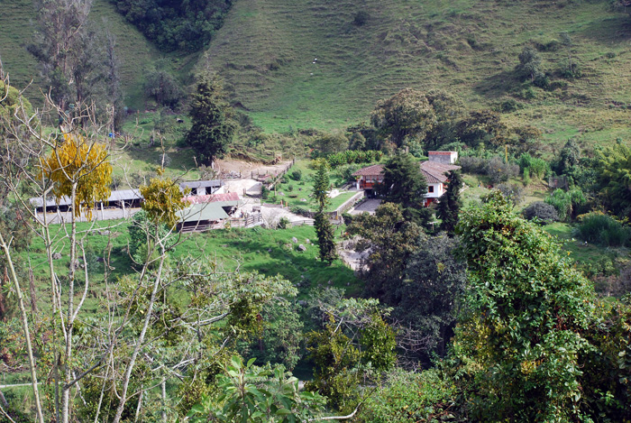 Desde el próximo miércoles se llevará a cabo el Seminario Latinoamericano de Pensamiento Ambiental y Hábitat.