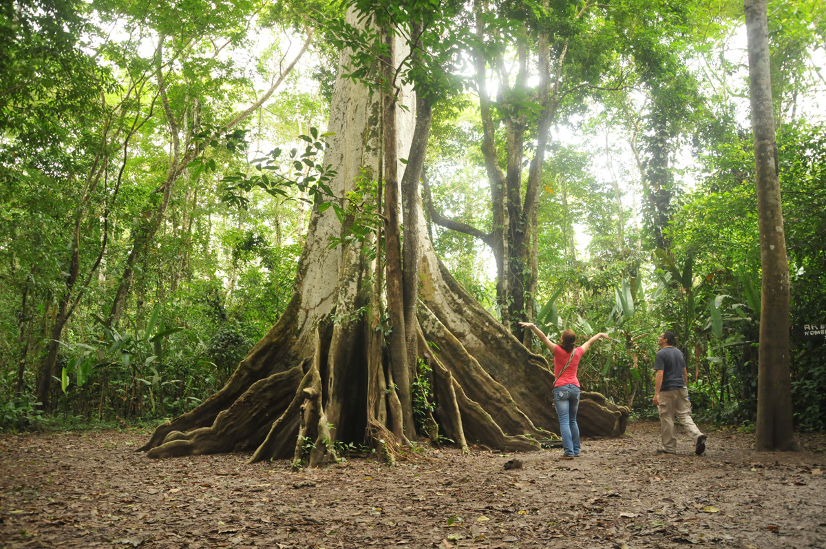 Los megaproyectos en la Amazonia se podrían convertir en una economía de la devastación. - Fotos: Andrés Felipe Castaño y Víctor Manuel Holguín/Unimedios