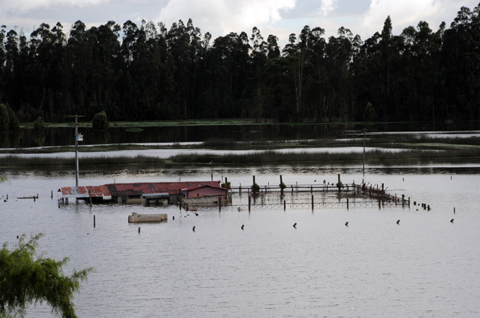 Cerca de 60 mil damnificados, 30 mil hectáreas inundadas y cuantiosas pérdidas fueron los resultados de la ola invernal en Bogotá.