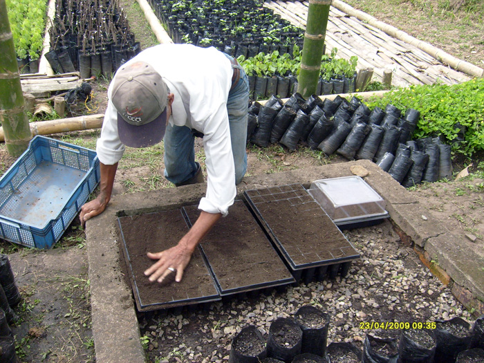 Según la Encuesta Nacional Panelera, en Cundinamarca había cerca de ocho mil productores en el 2010. Fotos: Cortesía CIF.