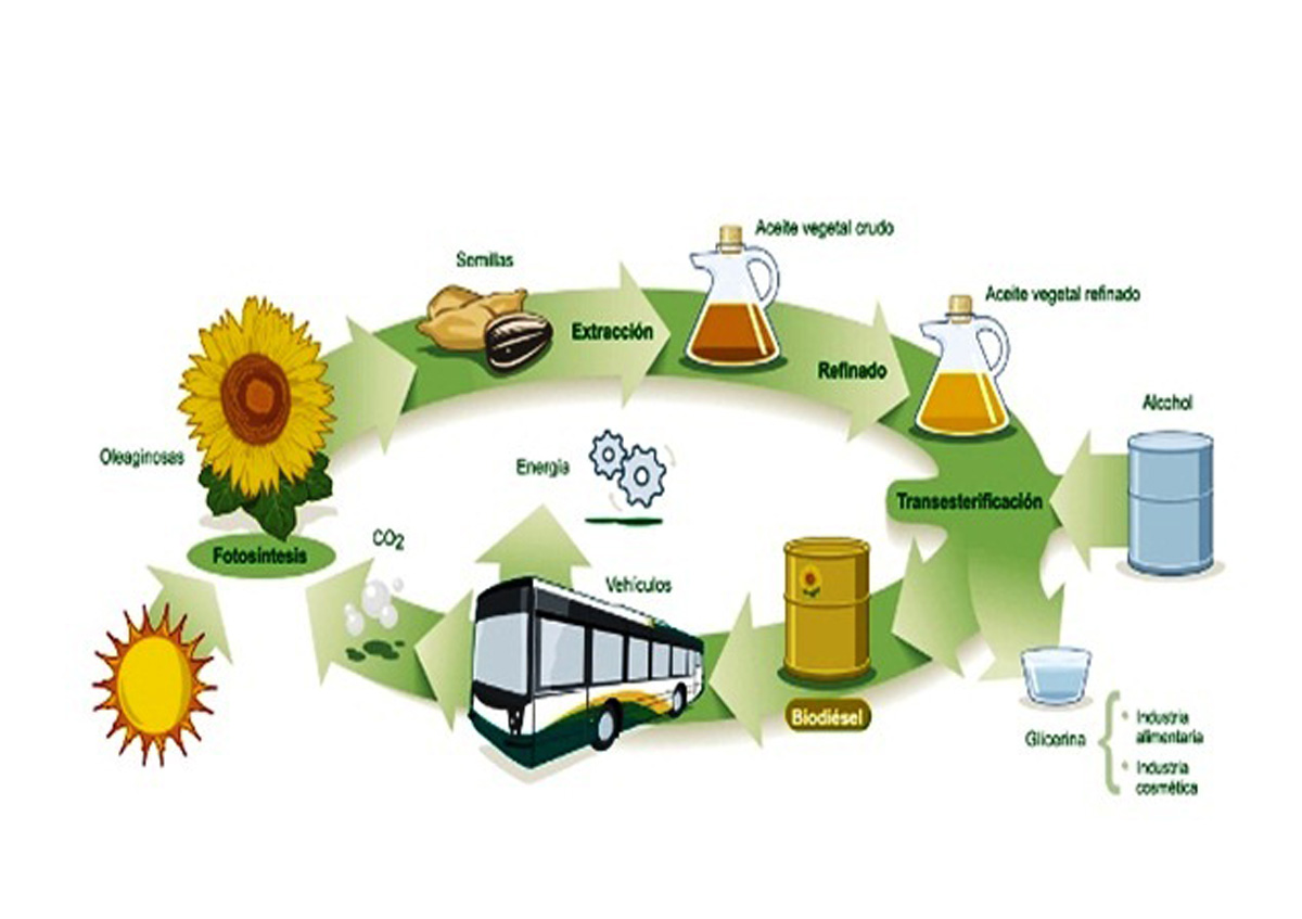 Intelligent materials for sustainable biorefineries