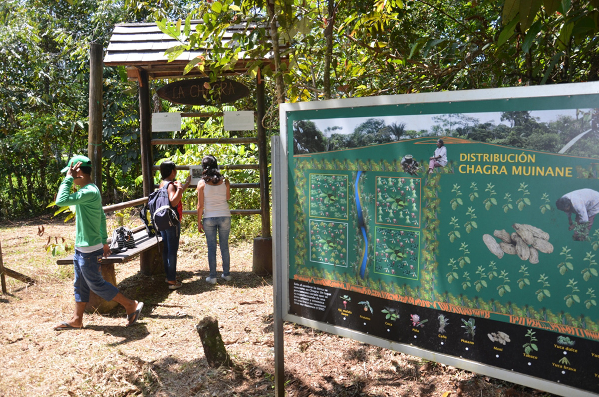 Recuperación del sendero ecológico de la Sede Amazonia.