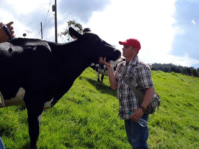 El hombre debe tomar conciencia del beneficio que le ofrecen los animales y brindarles mejores condiciones de vida, explicó docente de la UN en Medellín. Fotos: Medellín/Unimedios