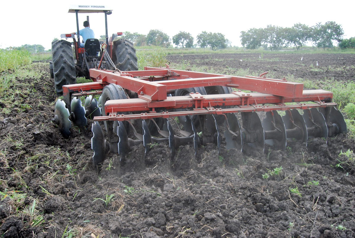 El sistema de producción extensiva aplicado en el agro colombiano es poco eficiente.