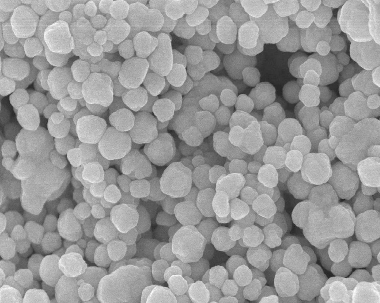 Extraen nanopartículas de plata con almidón de achira.