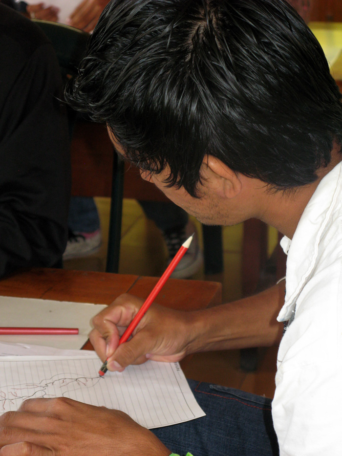 Los estudiantes de la Tecnología Forestal realizan prácticas académicas en Antioquia. Fotos: Medellín/Unimedios