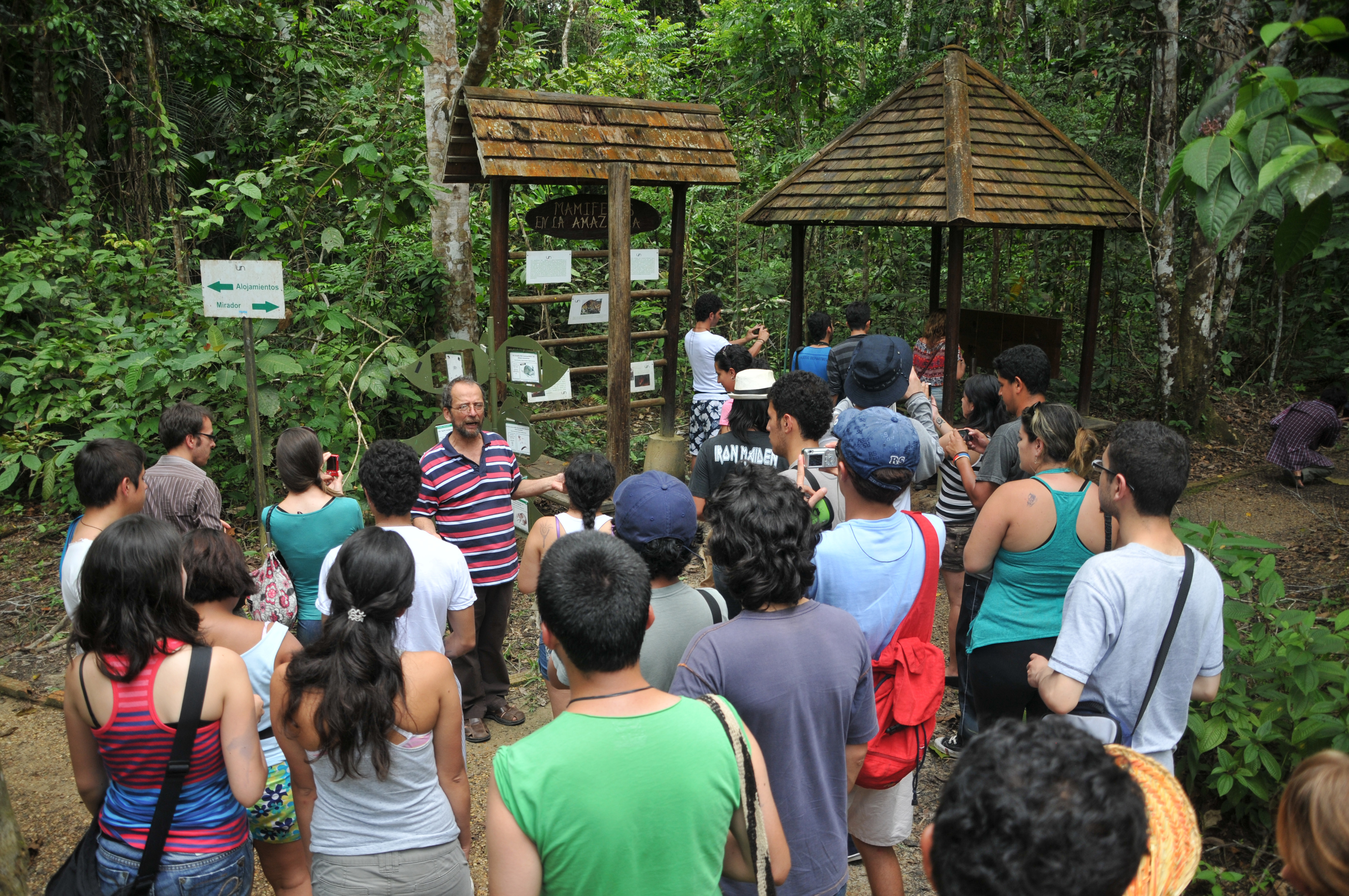 El sendero ecológico de la U.N. Sede Amazonia se ha convertido en una herramienta para la investigación y enseñanza de la flora, la fauna y la ecología de la selva ecuatorial amazónica.