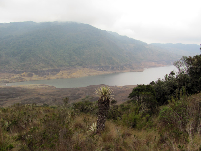 Los páramos son uno de los ecosistemas más frágiles que hay en el planeta y uno de los más escasos, solo existen en Colombia, Venezuela, Ecuador y algunas zonas de Perú.