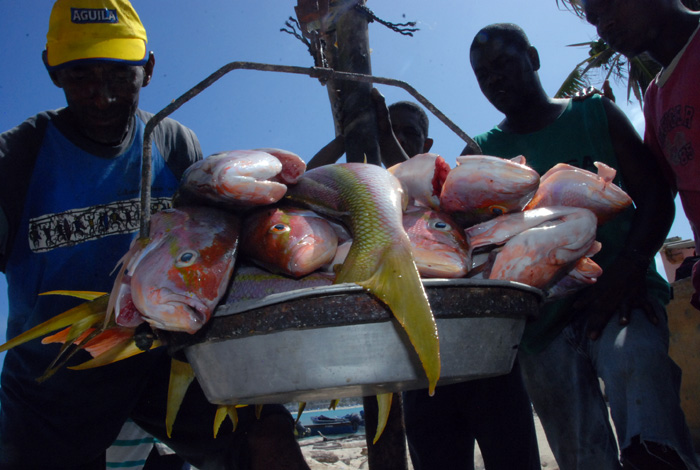 Fishing of golden fish during the expedition on board of the fishing boat Doña Rosario.