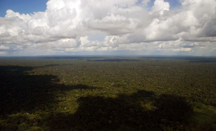 La primera fase del proyecto comprende la elaboración de una base de datos que contenga actualización de la información socioambiental y del medio natural de cada una de las Reservas de Biósfera.