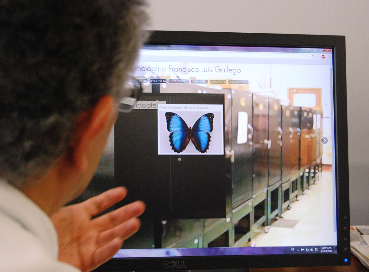 En el museo virtual, se pueden encontrar especímenes contenidos en alrededor de 700 gabinetes. Fotos: Mónica Escobar.
