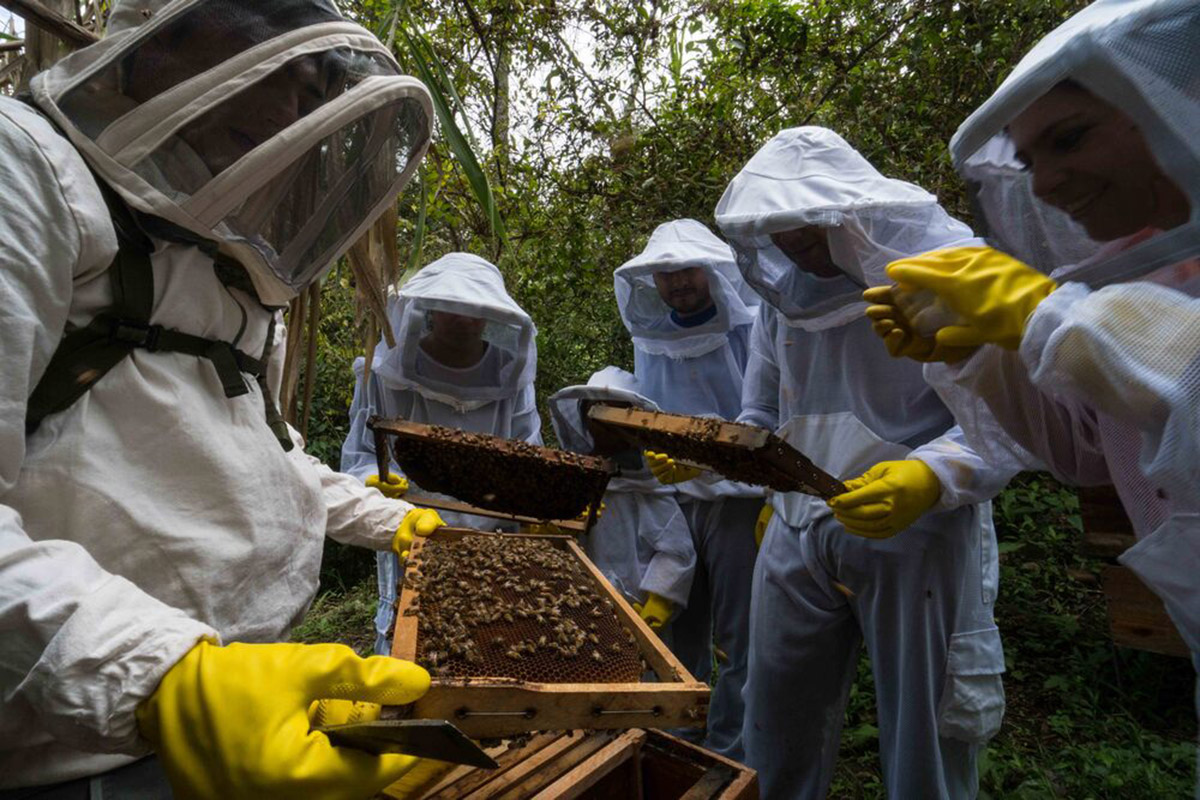 Participar en el proceso apícola hace a las personas más conscientes de la importancia de las abejas. Fotos: Alejandra Suárez.