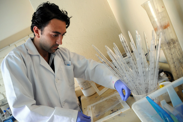 El estudio sobre Leishmania se realiza en el Laboratorio de Investigaciones Básicas en Bioquímica (Libbiq), de la Universidad Nacional de Colombia. Sus resultados aportan a la posible generación de fármacos o vacunas para tratar la leishmaniasis. - Andrés Felipe Castaño/Unimedios