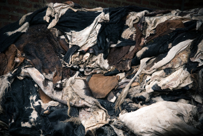 Entre los desechos generados por las empresas curtidoras se calculan 3.700 toneladas de pelo y 7.200 de residuos de carne. Andrés Felipe Castaño/Unimedios