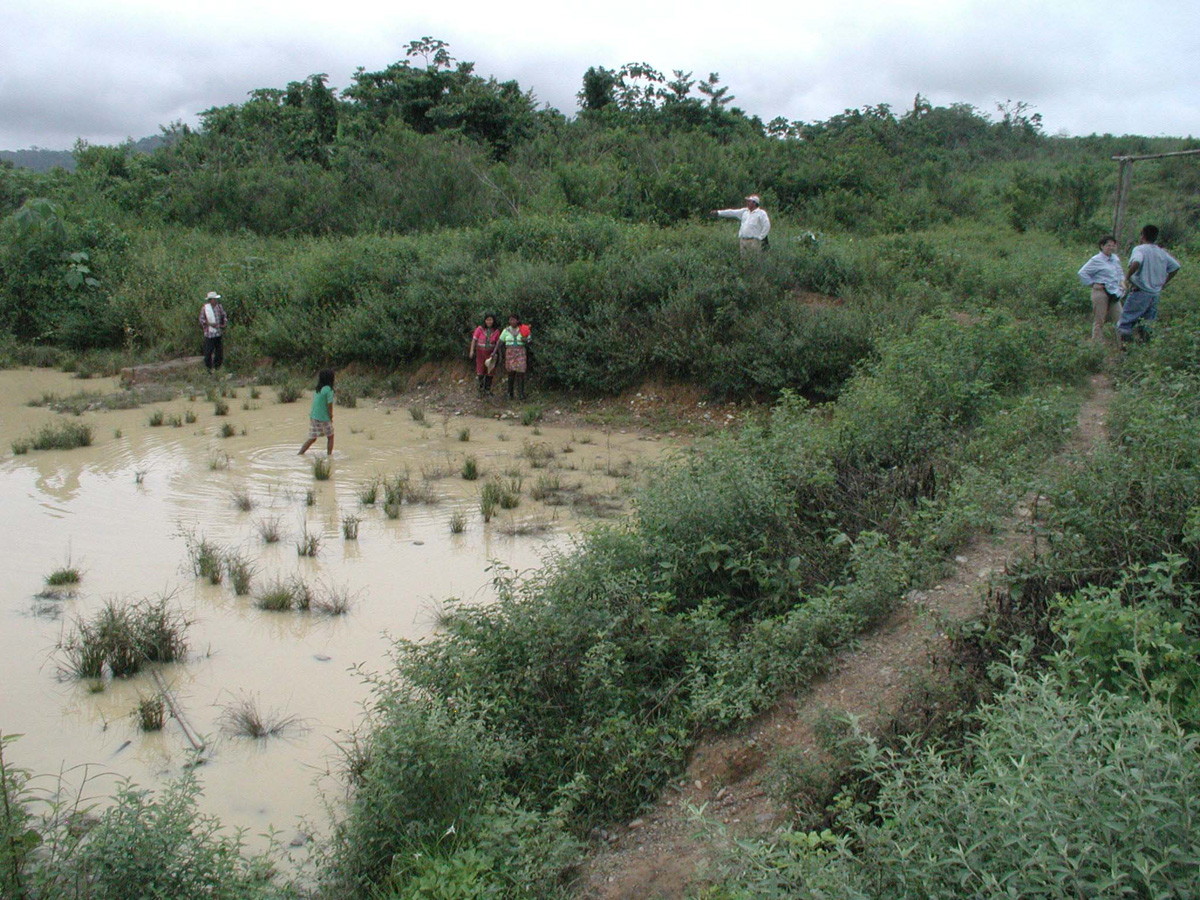 La represa de Urrá II inundaría 53.000 hectáreas (ha) del Parque Nacional Natural de Paramillo y 21.000 ha nuevas de la comunidad embera. - Fotos: El Tiempo