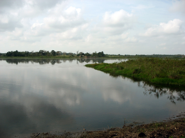 Las ciénagas del caribe colombiano en simposio sobre biodiversidad.